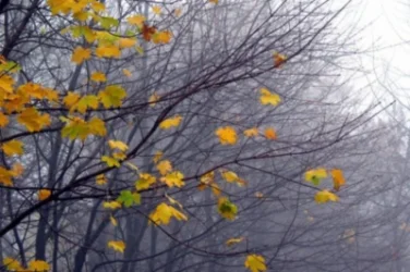 Օդի ջերմաստիճանը կնվազի. եղանակի տեսություն