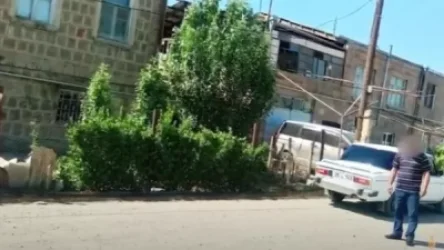 ՏԵՍԱՆՅՈՒԹ. Ծեծկռտուքի ժամանակ մահակով խփել է հարևանի գլխին