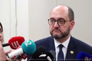 Մենք խոսքի համար մարդ չենք կալանավորում. Արայիկ Հարությունյան