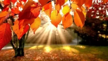 Հայտնի է առաջիկա օրերի եղանակը Հայաստանում