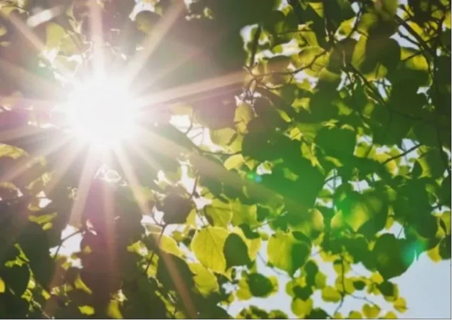 Հայտնի է՝ ինչ եղանակ է սպասվում առաջիկա օրերին