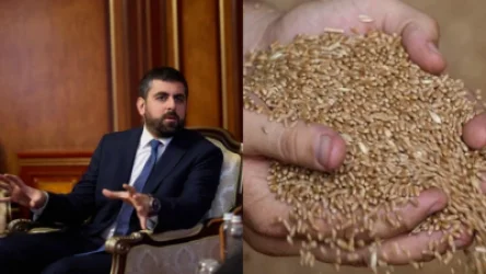 Խանդանյանը՝ Ղազախստանից ներմուծված ցորենի մասին