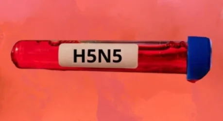 H5N5 ենթատեսակի թռչնագրիպով վարակված քաղաքացին մահացել է. ԱՄՆ