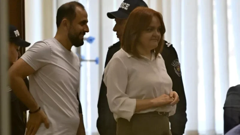 Լիդյա Մանթաշյանի կալանքը վերացվել է