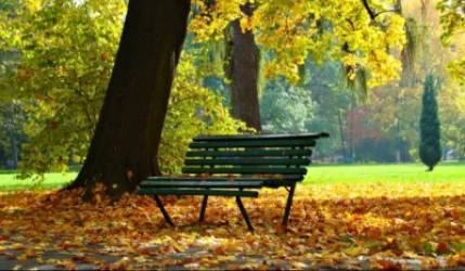 Օդի ջերմաստիճանն էապես չի փոխվի․ եղանակի տեսություն