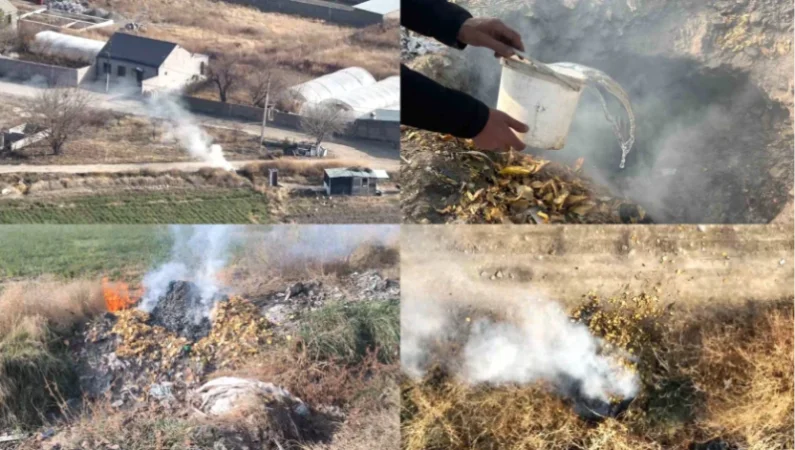 Հայտնաբերվել են ապօրինի այրման նոր դեպքեր․ ԲԸՏՄ