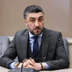 Վիլեն Գաբրիելյանը հայտնել է ինքնառաջադրման մասին