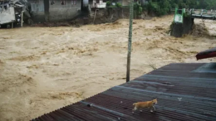 Ինդոնեզիայում ջրհեղեղի հետևանքով 303 մարդ է մահացել