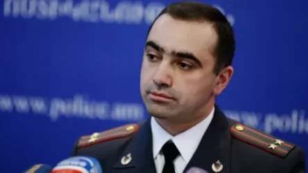 Ոստիկանն իրավունք ունի բերման ենթարկել պատգամավորին․ Ֆիդանյանը պարզաբանել է ընթացակարգը