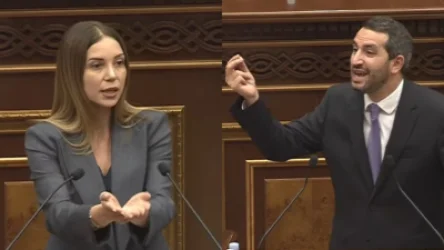 Դուք ինձ այլևս չընդհատեք, խելոք լսեք․ Աննա Գրիգորյանը՝ Ռուբինյանին