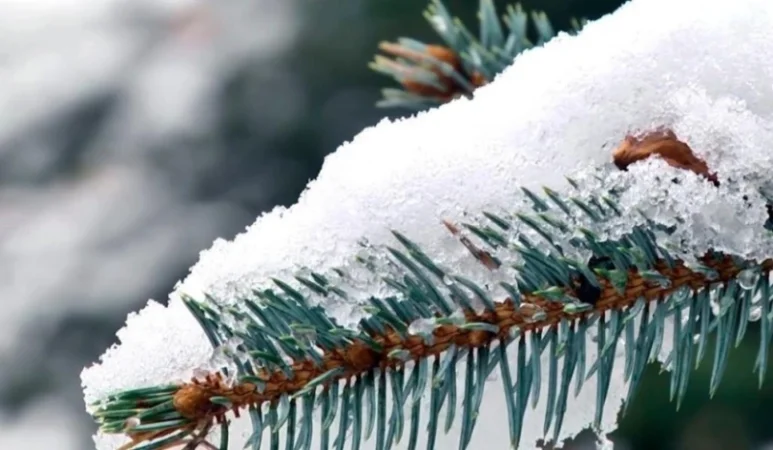 Ակտիվ ցիկլոն է ներթափանցել. ՀՀ ողջ տարածքում սպասվում են ձյան ու ձնախառն անձրևի տեսքով ինտենսիվ տեղումներ