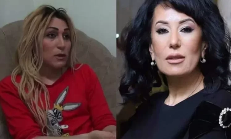 Some NGOs Appeal to PACE, Demanding a Stance on Naira Zohrabyan's Actions