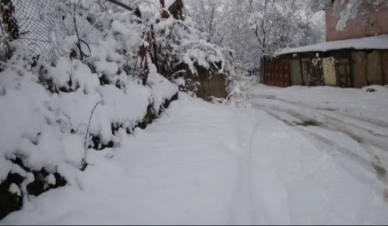 Կես մետրից ավելի ձյուն է եկել․ ինչքան ձյուն է տեղացել մարզերում