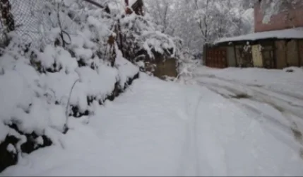 Կես մետրից ավելի ձյուն է եկել․ ինչքան ձյուն է տեղացել մարզերում