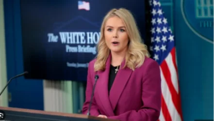 ԱՄՆ-ի համար Գրենլանդիայի ձեռքբերումը  շահավետ տարբերակ է. Քերոլայն Լևիթ