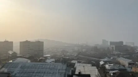 Եթե Երևանը վերածվի մի մեծ անտառի, այս խնդիրը չի վերանա. Ավինյանը` օդի որակի մասին