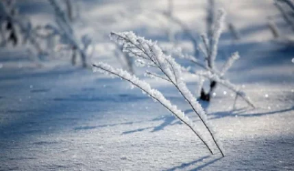 Մեր տարածաշրջանի համար օդի ջերմաստիճանը կանխատեսվում է նորմայից բարձր․ մանրամասներ