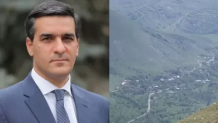 Ադրբեջանցիները հարվածել են հովվին, քաշել նրա ականջները, զենքի ցուցադրումով սպառնացել․ ՄԻՊ–ը՝ Սյունիքում տիրող իրավիճակի մասին