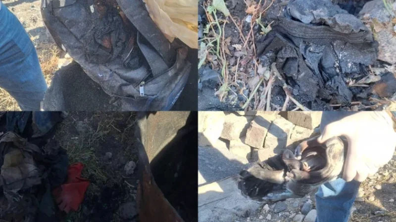 Հայտնաբերվել են դիմակը, ձեռնոցները, կոշիկները. նոր մանրամասներ Մերձավանի սպանությունից