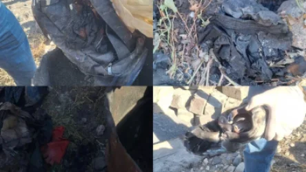 Հայտնաբերվել են դիմակը, ձեռնոցները, կոշիկները. նոր մանրամասներ Մերձավանի սպանությունից