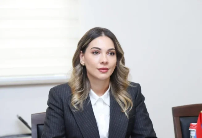 Սիրիացիների փոխանցումը պայմանավորված է Թուրքիայի հետ հարաբերությունների գործընթացով. Սրբուհի Գալյան