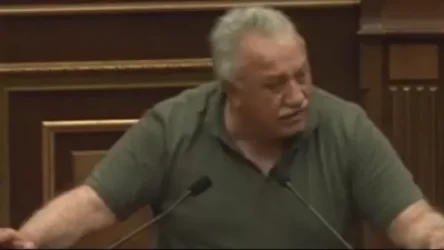 ՏԵՍԱՆՅՈՒԹ. Թուրքն եկել, հասել է Սյունիք, հելել իրար ենք քննադատում. Սասուն Միքայելյան