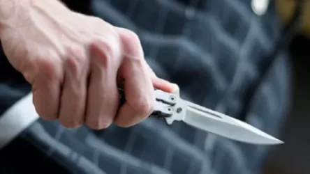 ՏԵՍԱՆՅՈՒԹ․ Դանակահարություն Դիլիջանի Անանյան փողոցում․ խփել է ազգականին, նա էլ ընկած տեղից գործի է դրել դանակը