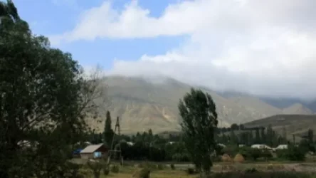 Երկու օր առաջ գյուղի հովվին ադրբեջանցիները շրջապատել են, սպառնացել. սա կառավարության լուծելու հարցն է, համայնքինը չէ