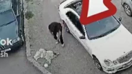 Շանը խոշտանգող երիտասարդը պատժվել է․ «Հրապարակ»