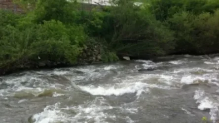 Երկու քաղաքացի ընկել է Հրազդան գետը