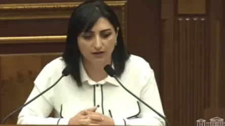 ՏԵՍԱՆՅՈՒԹ․ Տիկին Նազարյան, ամբիոնից պահանջում եմ ներողություն խնդրել ձեր լկտի պահվածքի համար, այլապես ավելի կոշտ եմ լինելու․ Թովմասյան