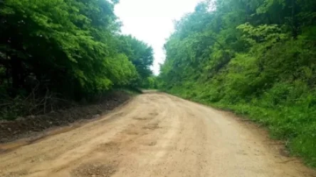 Գորիս-Կապան ճանապարհի այլընտրանք հանդիսացող Տաթև-Կապան ճանապարհը շարունակվում է մնալ կիսաքանդ վիճակում