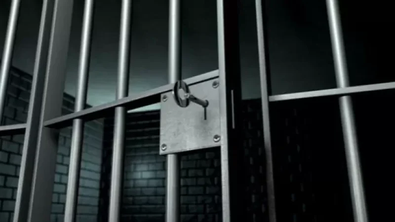 Արցախում համաներում են նախաձեռնել. «Հրապարակ»