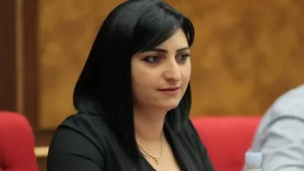 Նախօրեին տեղի ունեցած միջադեպն է, որի մասին ահազանգել էի. Թագուհի Թովմասյանը հայտնի տեսանյութի մասին