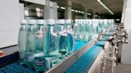 Վրաստանում «Բորժոմի» հանքային ջրի արտադրությունը դադարեցվել է. աշխատակիցները գործադուլ են անում