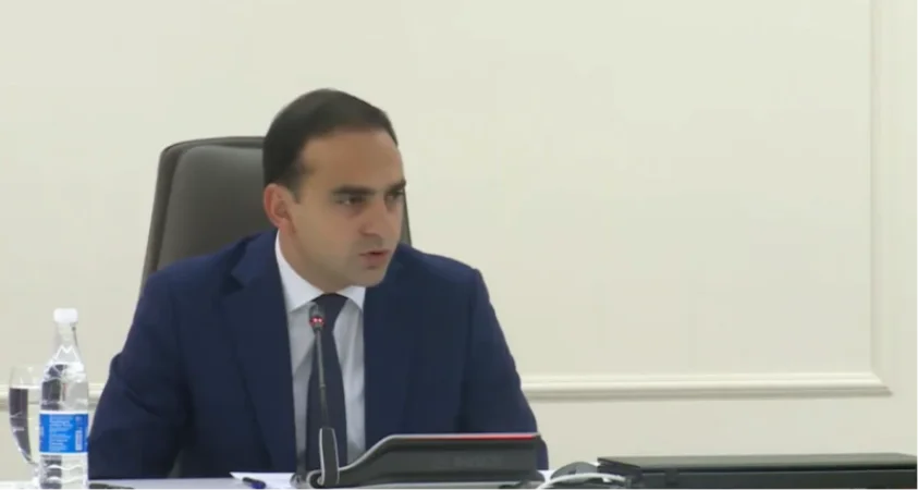 Թեքահարթակների տեսակները սխալ ենք ընտրել․ Ավինյան