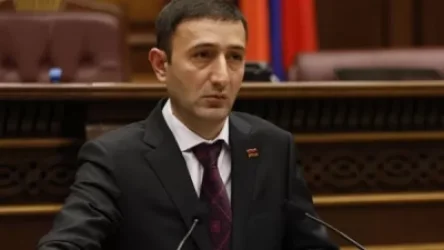 Մեքենաների վերաարտահանումը բացասաբար է ազդել տնտեսական աճի ցուցանիշի վրա. Թունյանը հակադարձում է