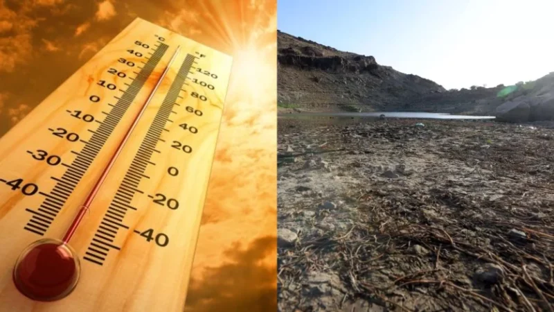 Աշխարհում ռեկորդային բարձր ջերմաստիճան կգրանցվի