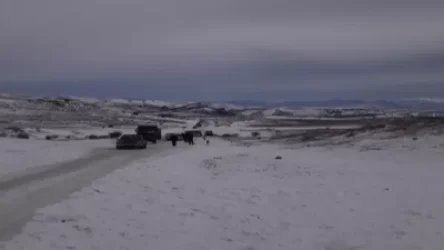 Ճանապարհների վիճակը ժամը 22:35-ի դրությամբ