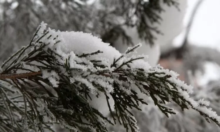 Ջերմաստիճանը կնվազի 5-ից 7 աստիճանով