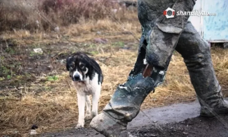 ԼՈՒՍԱՆԿԱՐՆԵՐ․ Վնասել են Փաշինյանի քանդակի ոտքի հատվածը