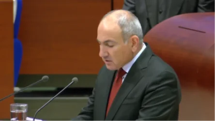 Ես տեսնում եմ այդ ալերգիկ երևույթը հաղթահարելու տարբերակը. Փաշինյան