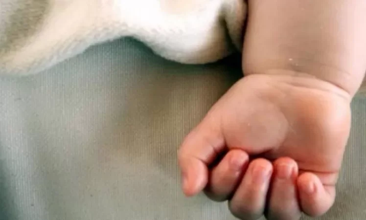 Մի՛ սպանեք աղջիկներին․ Փաշինյանի խորհրդականի հորդորը