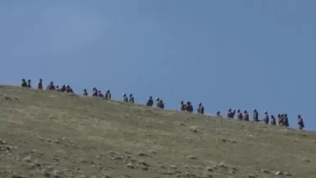 ՏԵՍԱՆՅՈՒԹ. Ադրբեջանցիները ևս 1.5 կմ առաջացել են դեպի Խոզնավար. վերջին նորություններ. News.am