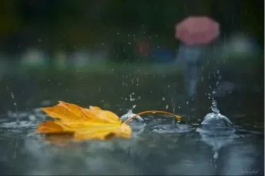 Օդի ջերմաստիճանը աստիճանաբար կնվազի 5-8 աստիճանով. եղանակը Հայաստանում