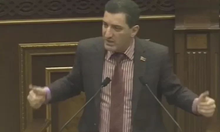 Video: Foreigners Adopt Children from Armenia for Organ Trafficking, Says MP
