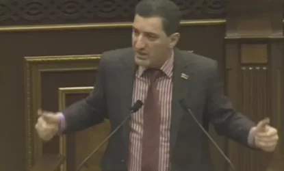 ՏԵՍԱՆՅՈՒԹ․ Օտարերկրացիները Հայաստանից երեխա են որդեգրում օրգանները վաճառելու նպատակով․ պատգամավոր