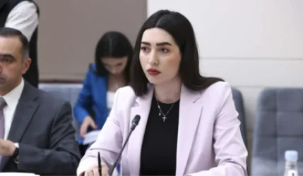 ՆԳ նախարարը` 2025 թվականին կատարված սպանությունների մասին