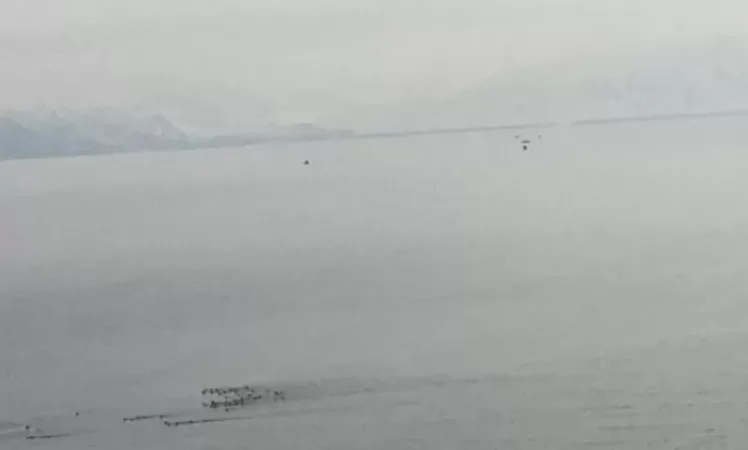 Այսօր Սևանում անթիվ ու անհամար ձկնորսական նավակներ կան