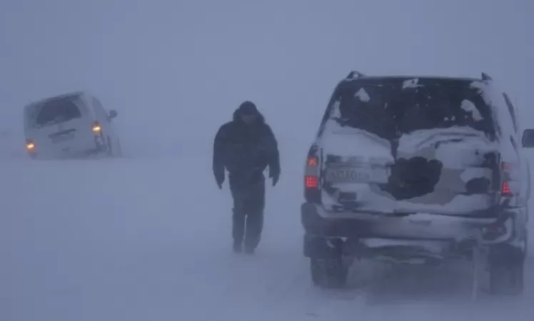 Snowfall: Blizzard and Black Ice on Roads